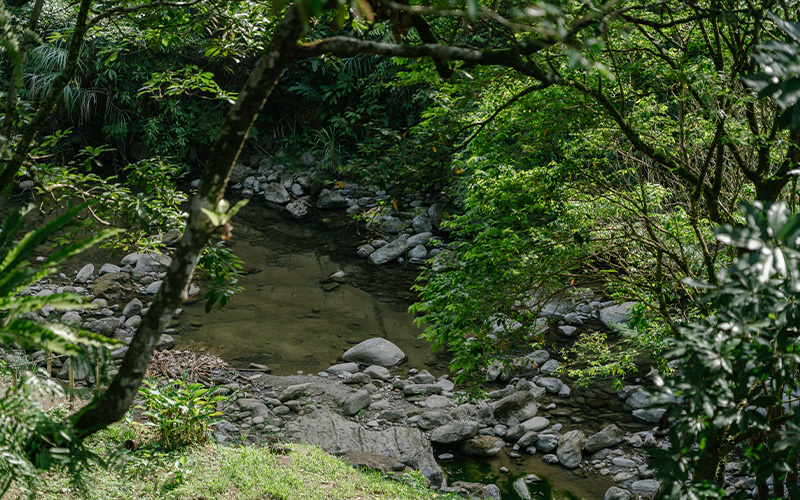 探索「微笑農村：新北106軸帶」的里山精神