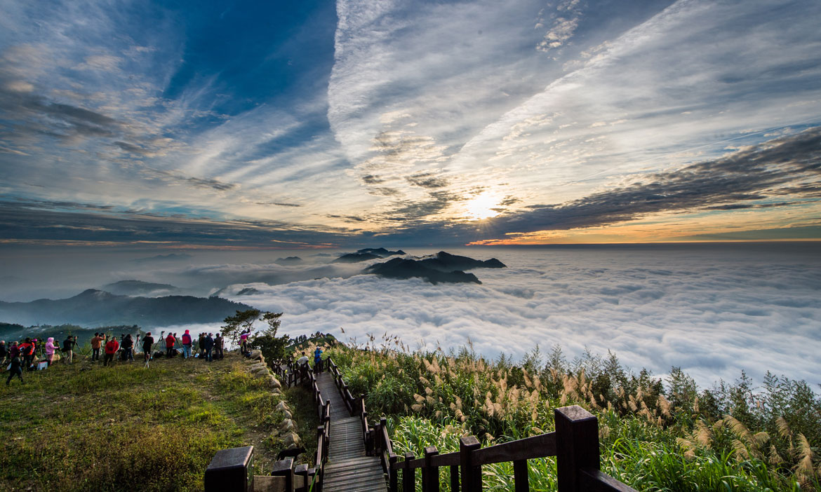 走一條阿里山的步道，沈浸在雲霧、茶園與絕美山景中，以靜謐佐茶香的療癒之旅