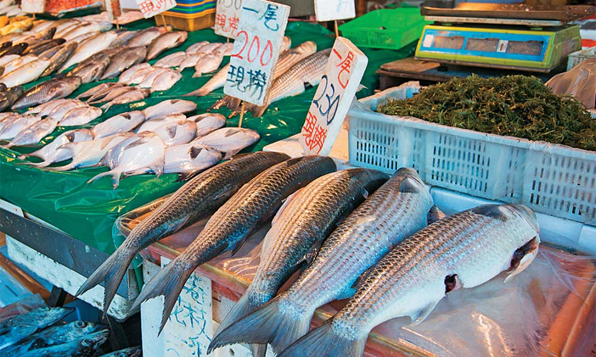 榮濱商圈年貨採買指南｜發掘台北「星級廚房」鮮美食材，蒐羅澎湃山珍海味