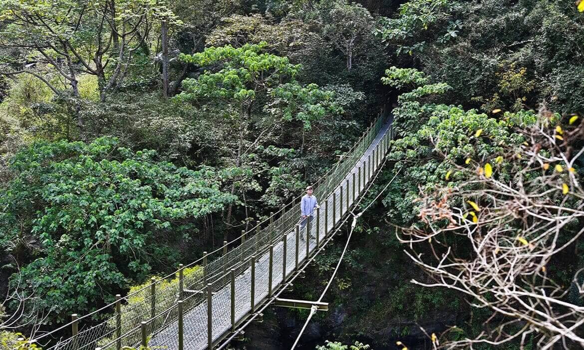 前進高雄茂林與美濃山林溪谷，走吊橋、賞瀑布、遇見珍奇植物、悠遊步道綠意間