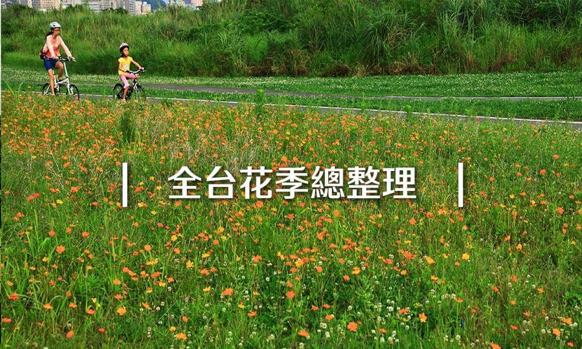 全台花季總整理｜春天賞櫻、夏天觀蓮、秋天追楓、冬天賞梅，一整年花不完！