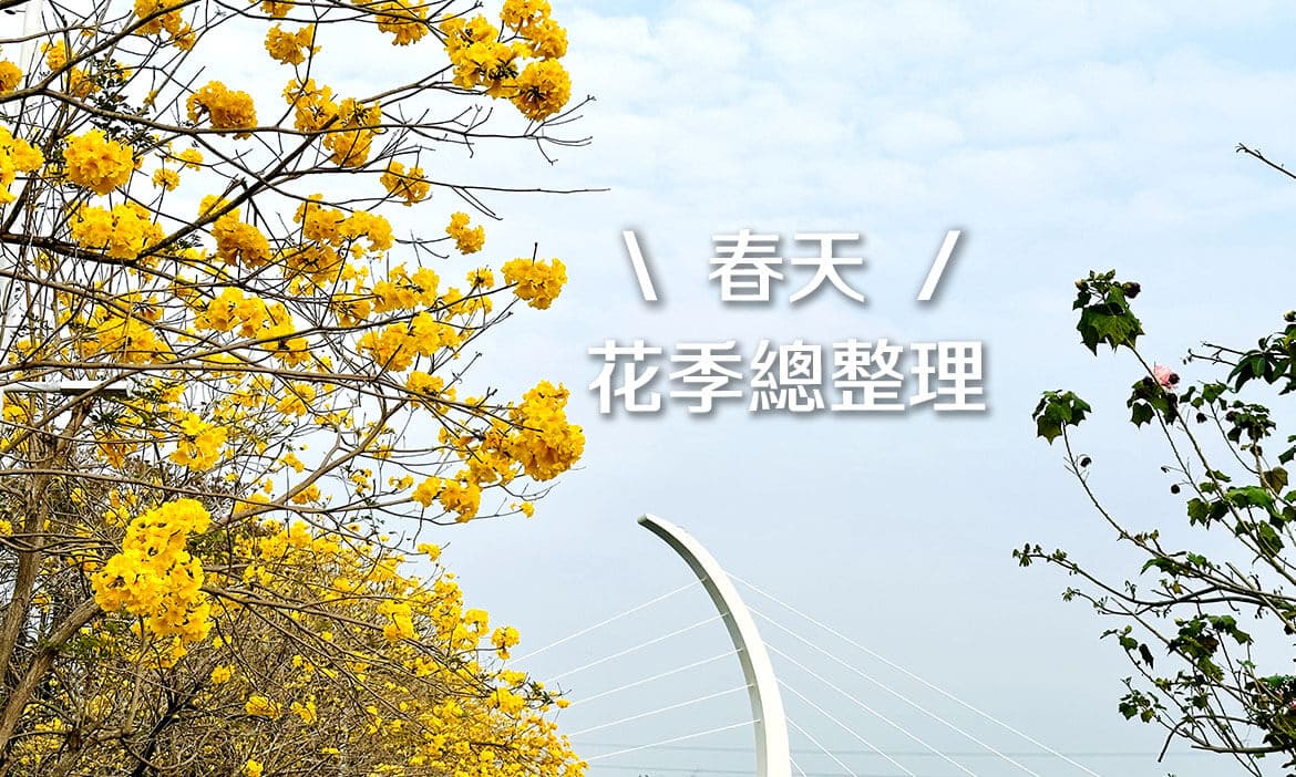 2026台灣3、4月花季總整理｜粉、紫、黃、白接力綻放，好拍與必去景點全攻略