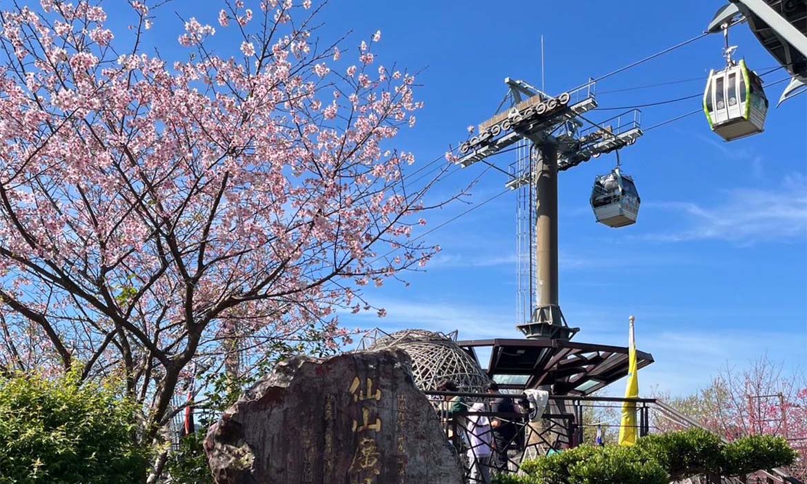 春天粉櫻盛開！到台北文山指南風景區賞花祈福，走訪浪漫山徑再登高品茗