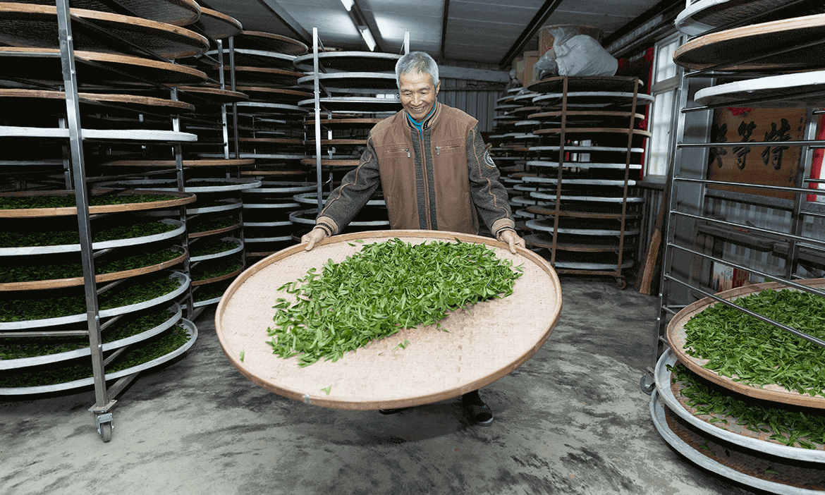 走進國寶級製茶師黃文雄的茶葉人生，在新北三峽有機栽種、用心製茶讓好茶飄香