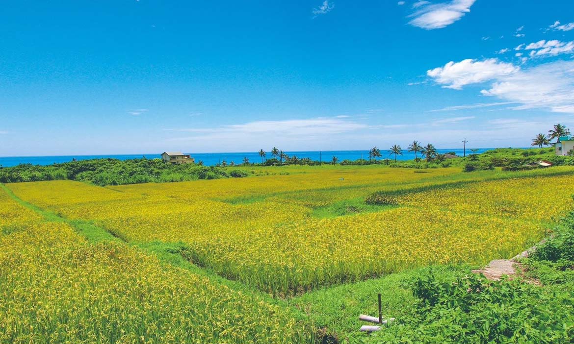 2024永續遊花蓮獎勵方案一次看｜國內外自由行、旅行社團體旅遊，抽獎與住宿等多重補助