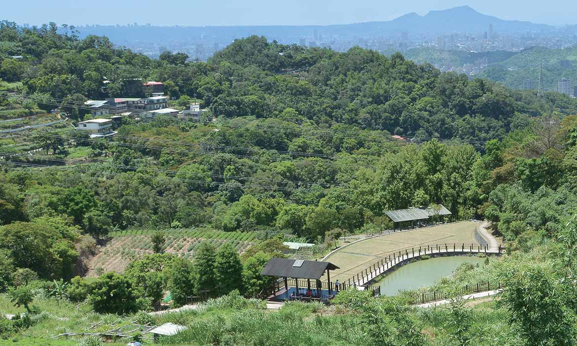 到台北貓空體驗夏日風情，品茗、嚐筍、走步道，群山美景與茶香好食一次滿足