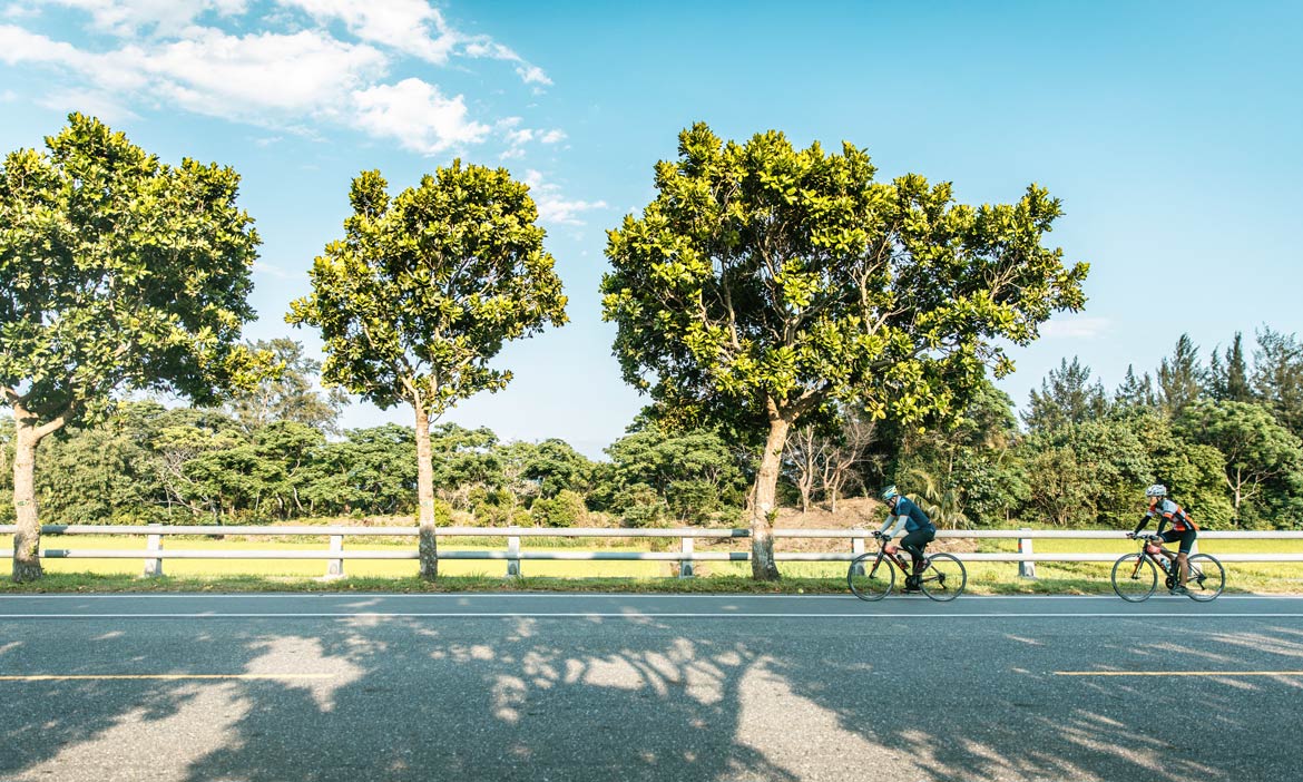 振興震後花蓮觀光方案懶人包｜旅遊住宿補助每晚省千元、台灣好行花東線免費搭乘