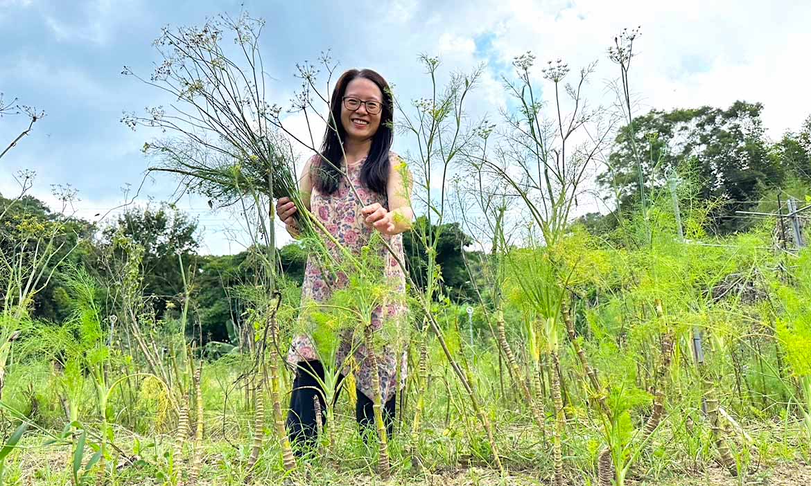 回鄉種茴香，台中東勢「鼎底窩生活好食事」的有機香料，傳承客庄記憶之味