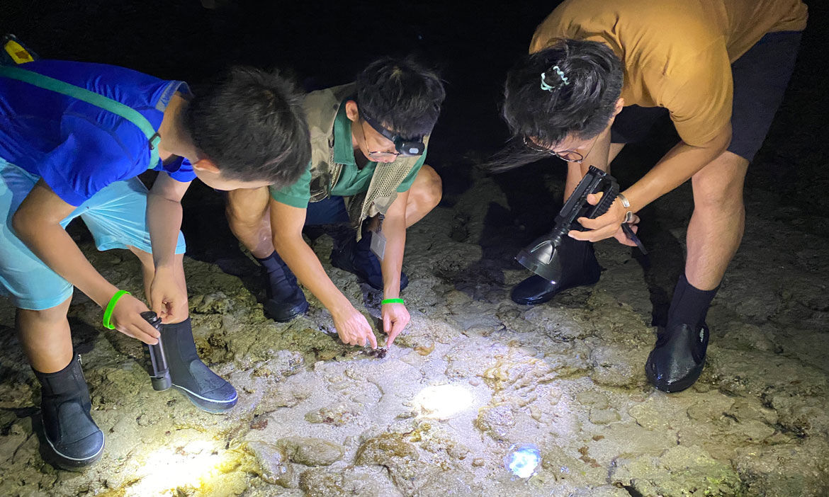 體驗恆春半島夜生活行程推薦｜潮間帶探索、望遠鏡觀星，陸海空都暢玩的生態小旅行