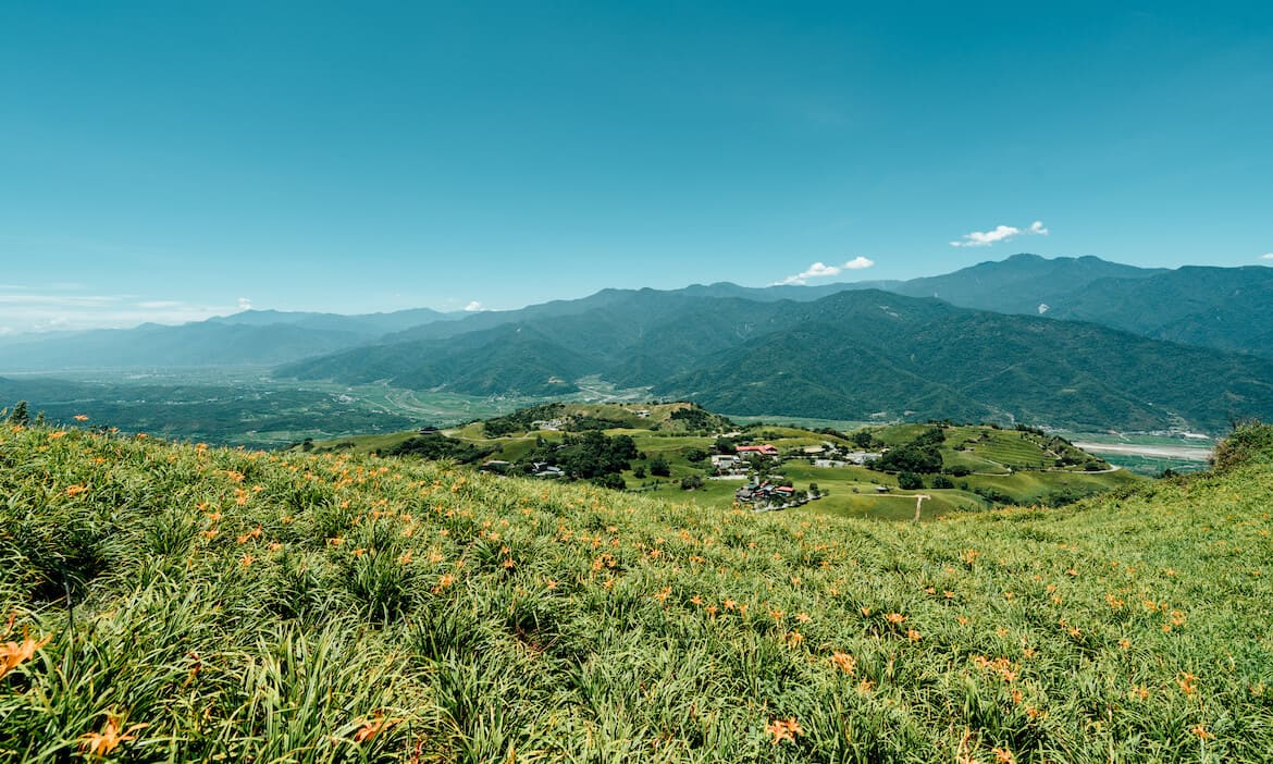 2024花蓮台東金針花季｜玉里赤科山、富里六十石山、太麻里金針山，花期、亮點、順遊行程總整理