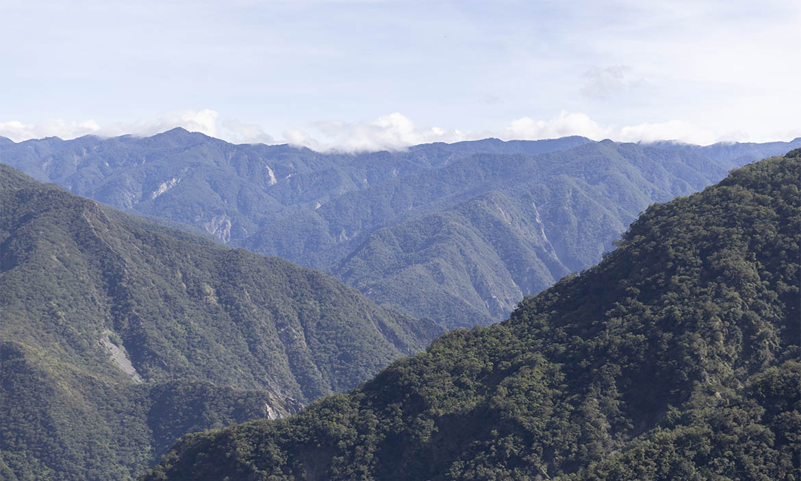 與黑鳶同行重返山林，屏東霧台的重生之路，以社區林業找回在地美好