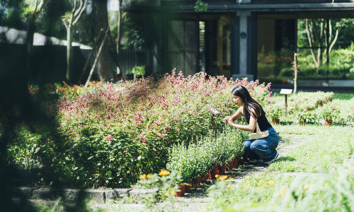 香草王國深呼吸，花蓮吉安君達休閒農場優雅轉身，手作、烤茶、農食餐桌經典療癒體驗