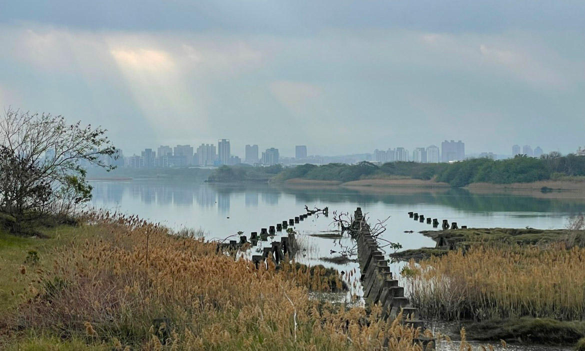 行水路｜舊港島的巢、頭前溪的流，踏上新竹唯一小島聚落，一探特色水文化生態及人文風貌