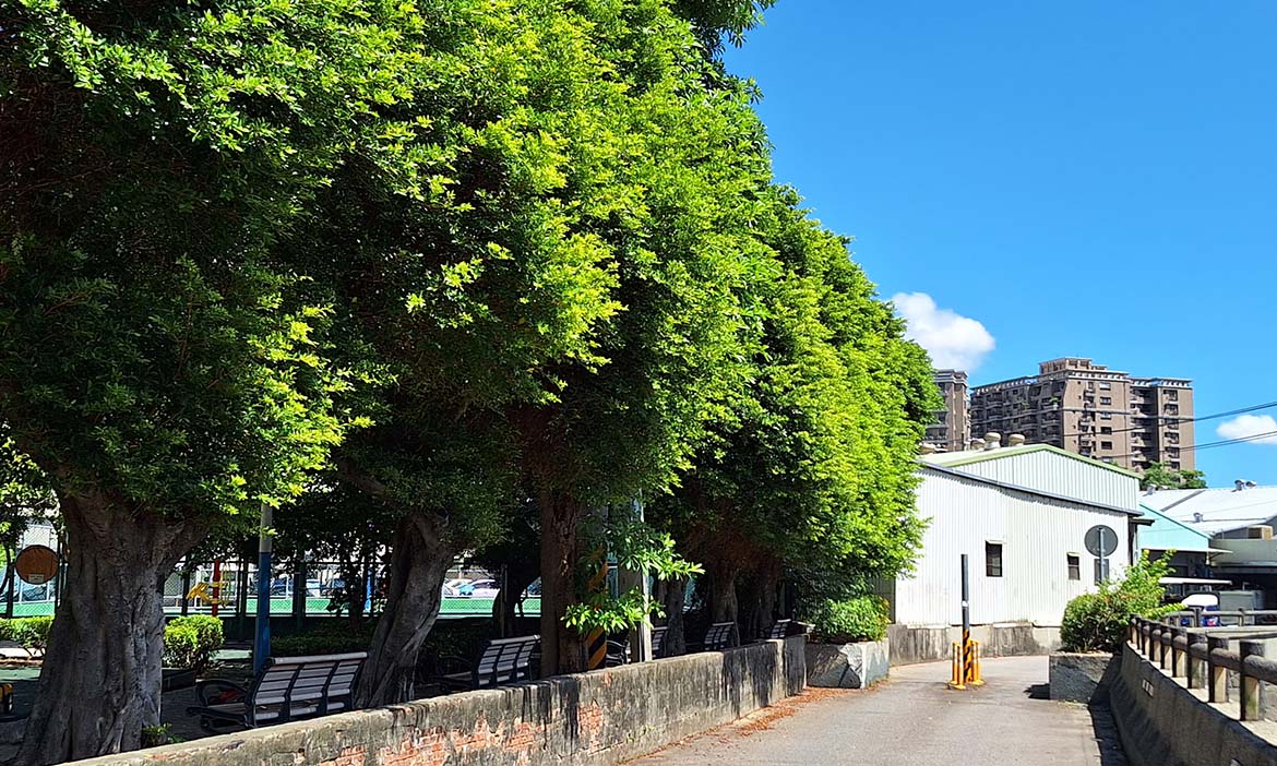 行水路｜走訪塔寮坑溪，探尋新莊與迴龍邊境軼聞—迴河、斬龍、龜崙人