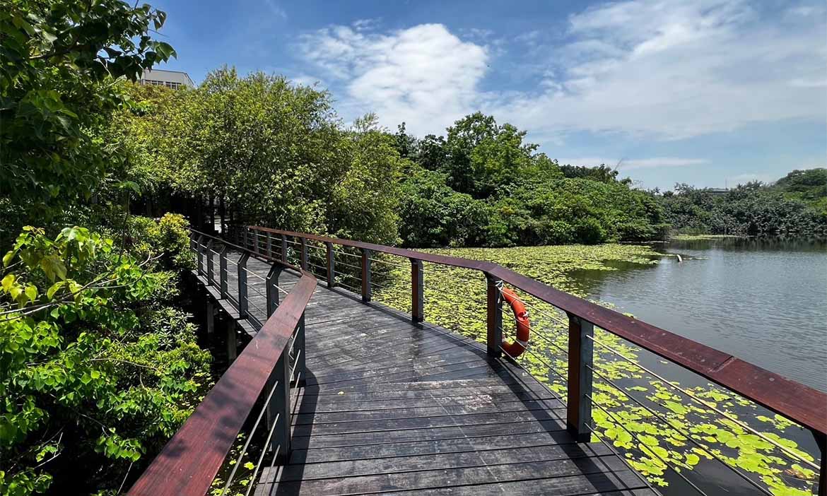 漫步都會生態系，走進高雄「鳥松濕地公園」感受綠意，聽蟲鳴鳥叫與自然共處