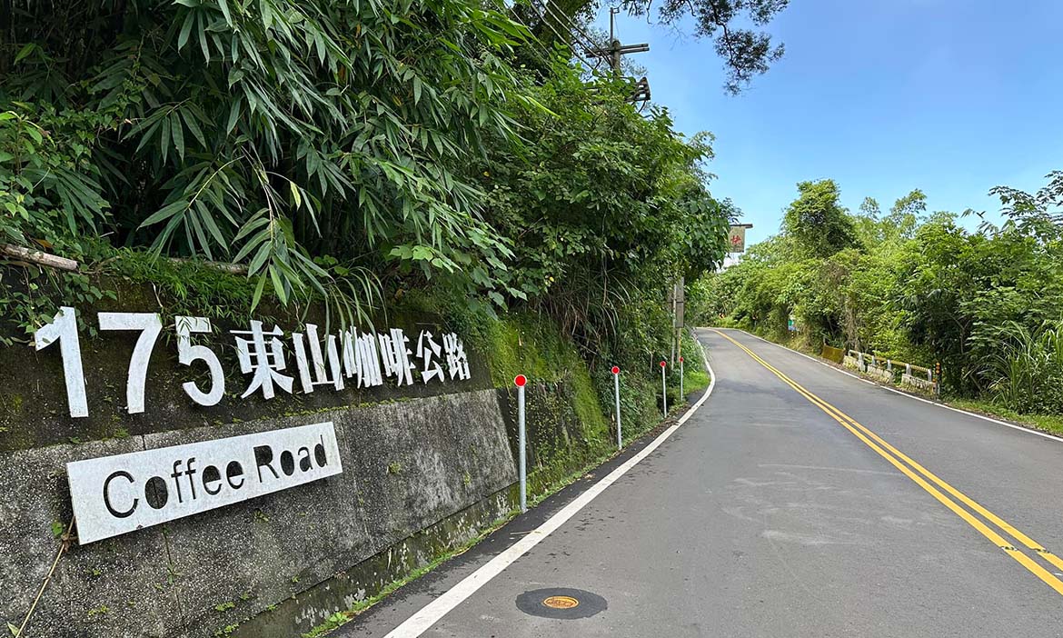 175東山咖啡公路｜台南東山桂圓飄香，在雲海之間喝一杯「台味」咖啡