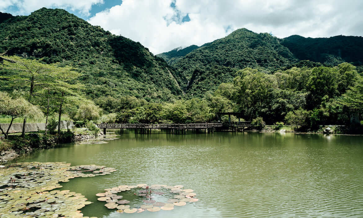 花蓮富里二日遊｜金針花、泥火山豆腐、竹產業，兩天一夜重新發現縱谷的富饒