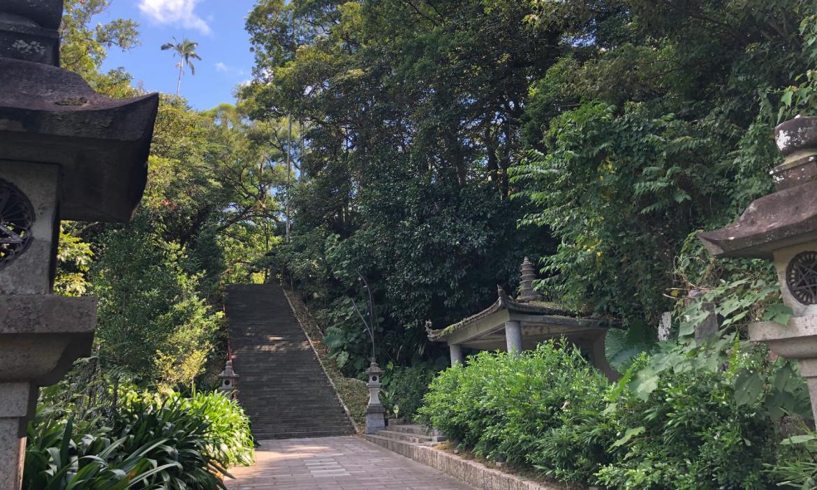 台北步道小旅行｜朝聖指南宮千階竹柏參道，踏上靜謐百年路坡遠眺晝夜風景