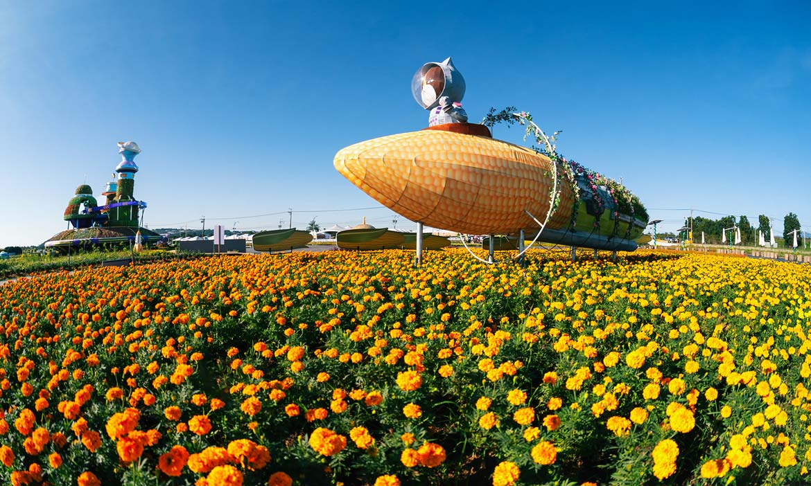 2024新社花海暨台中國際花毯節 徜徉在「太空花城」視覺饗宴，花海最佳拍照點、免費接駁車資訊