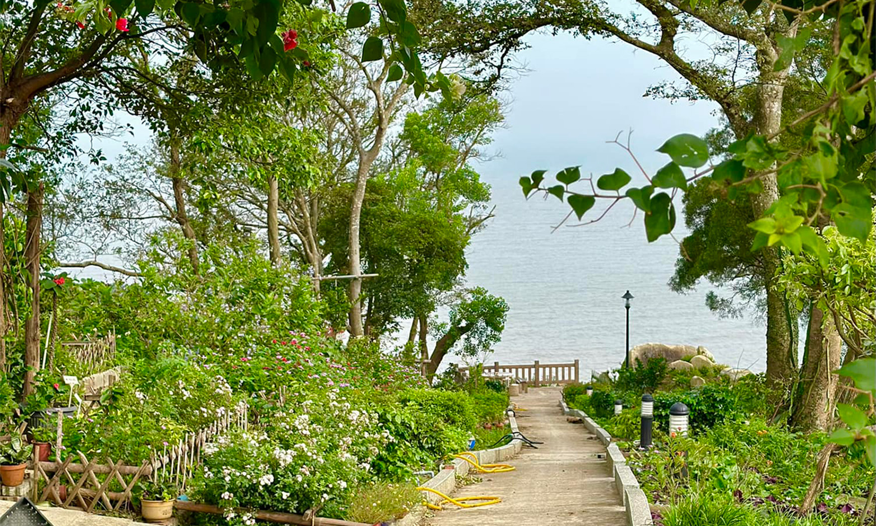 航向想像之外的馬祖，造訪南竿島上的秘境花園，一嚐冬日旬味紅糟雞湯與金銀花