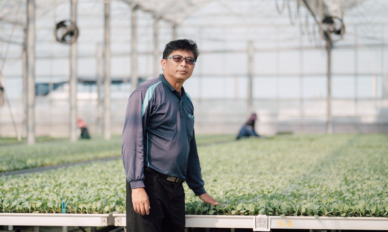蔬菜育苗場善用本國和外籍勞動力 發揮1+1>2效益