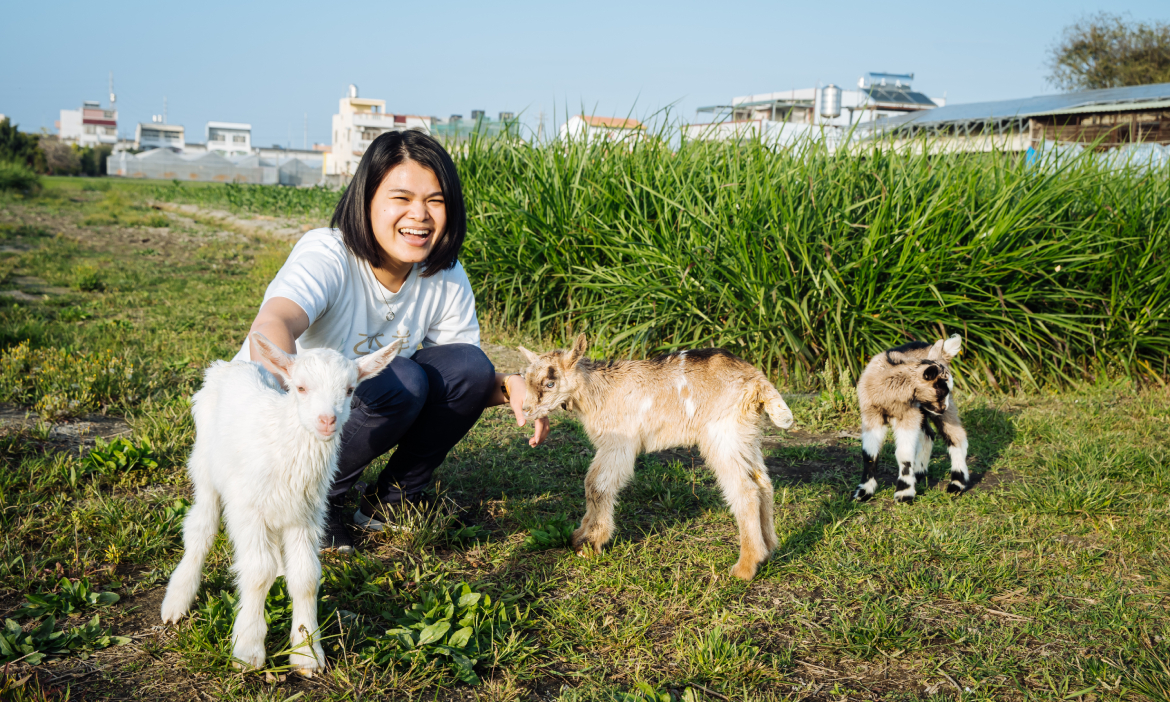 彰化埔心「乙木羊」以食農教育體驗翻轉牧羊產業，找回記憶中早晨的濃醇香