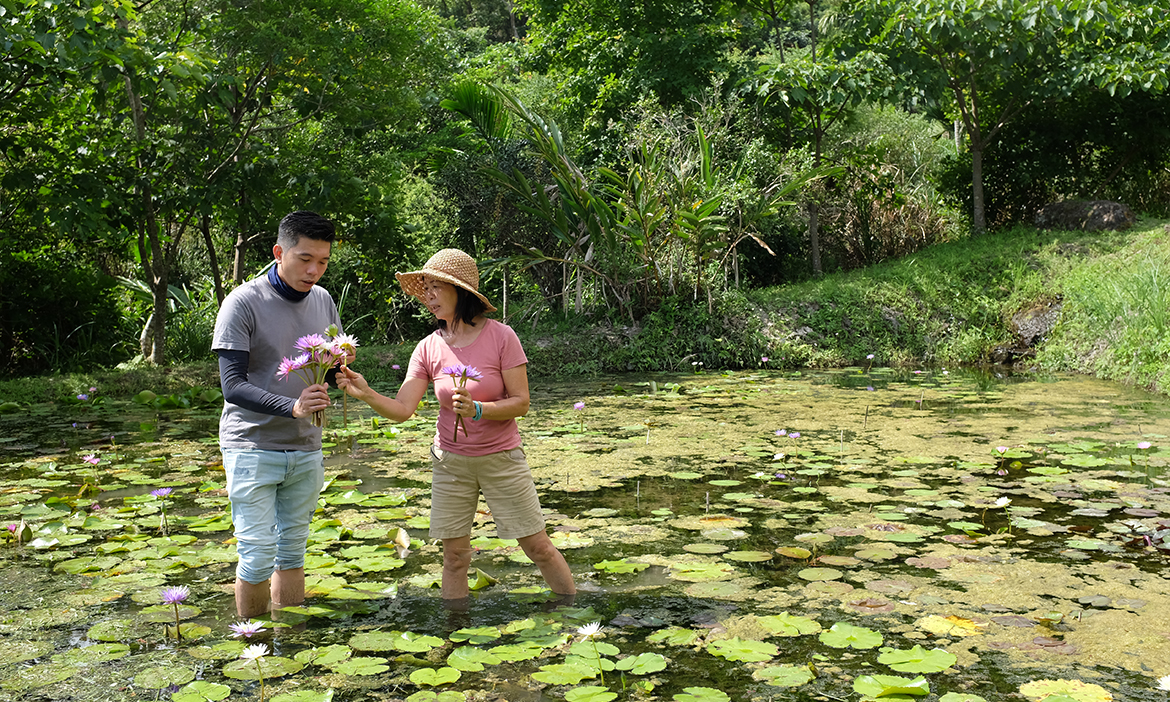 到台東長濱深山裡的「花格格蓮莊」，品蓮花芬芳、探動植物棲地，感受南溪部落的純淨