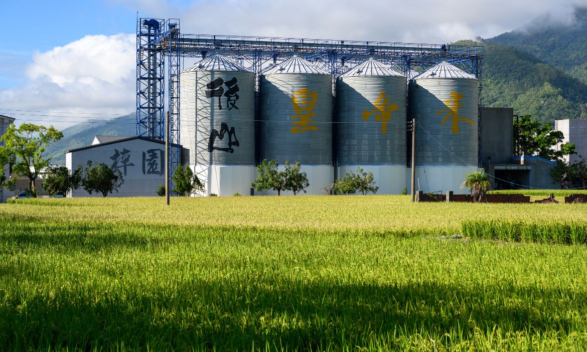 臺東農遊趣 透過食物走進在地，發覺深度旅遊的樂趣