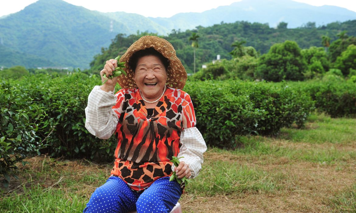 親子瘋農遊！ 到宜蘭製茶、認識水草、吃米食，玩出食農素養