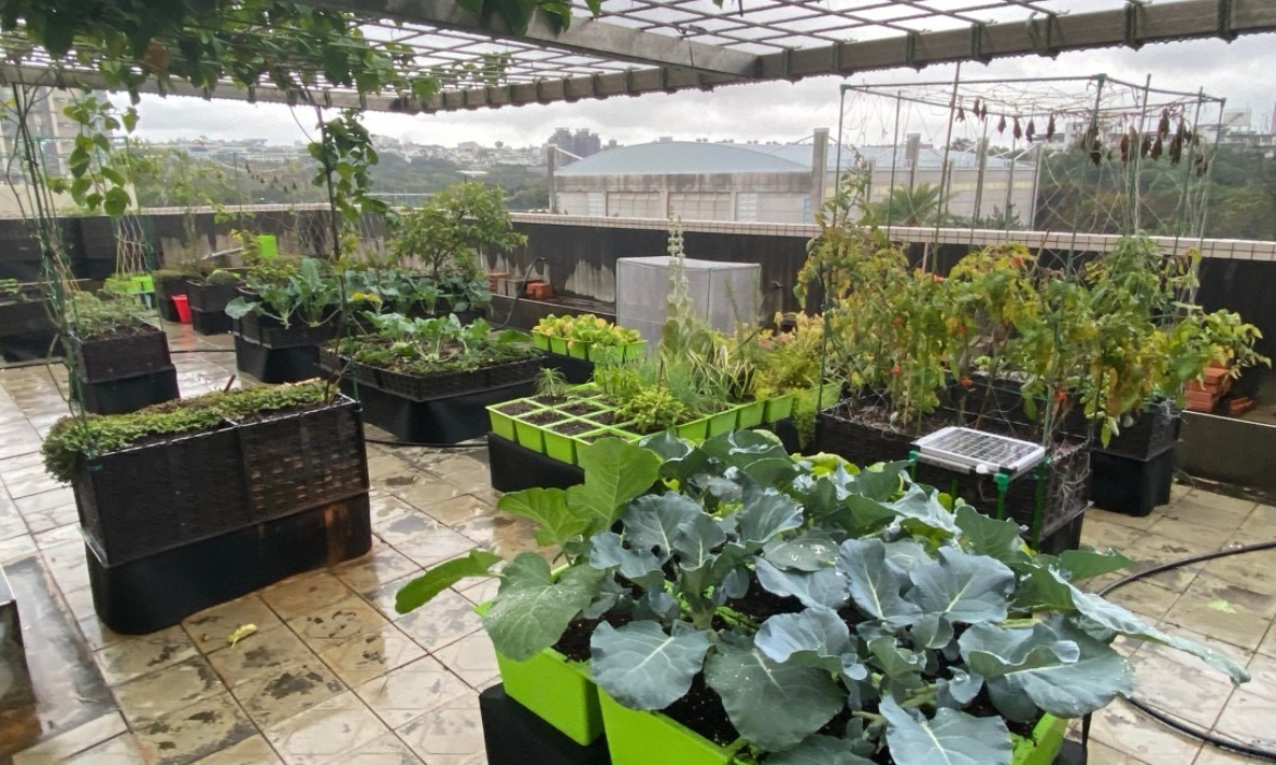 陽台就能種蔬果！陽明交大團隊推「DIYGreen零廢棄循環型都市農園」，以綠生活為城市降溫