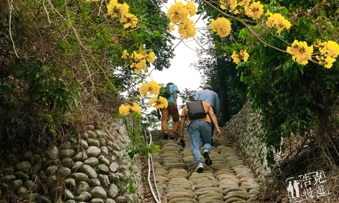 彰化員林二日遊｜行踏穀倉、古厝、學校裡的大寺廟，吃碗拉仔麵後出發細品蜜餞故鄉