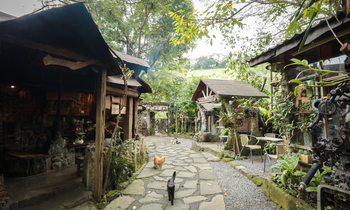精選嘉義阿里山5家部落咖啡廳，遠離喧囂置身壯麗山景、漫步茶園小徑