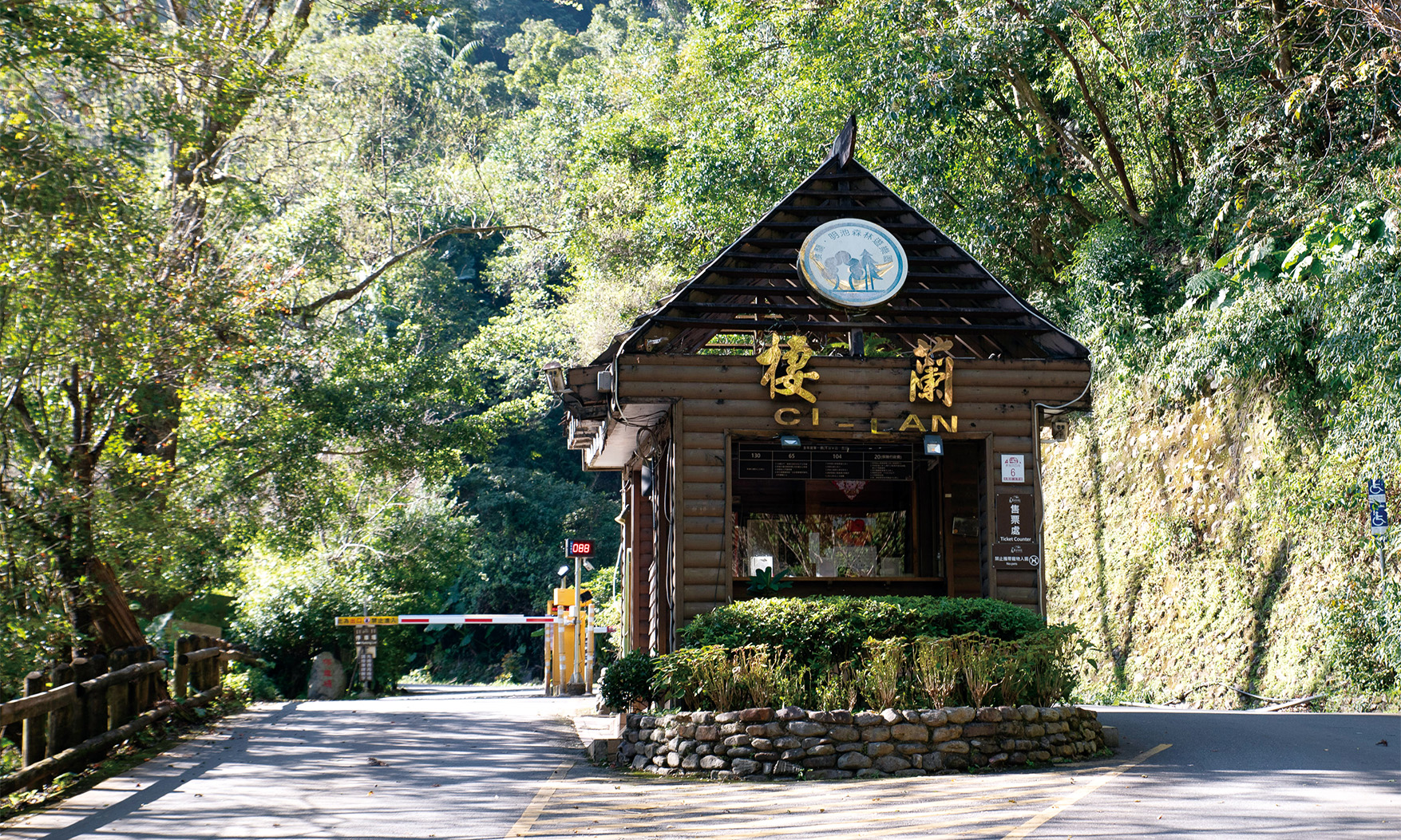 高山上的電力守護者，走進宜蘭大同山林現場，棲蘭檜木林與太平山雲海是他們的療癒秘方