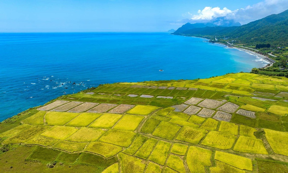 「三個有機」發展花蓮永續觀光，從突破交通到產業加值，看見繁花盛開的風景
