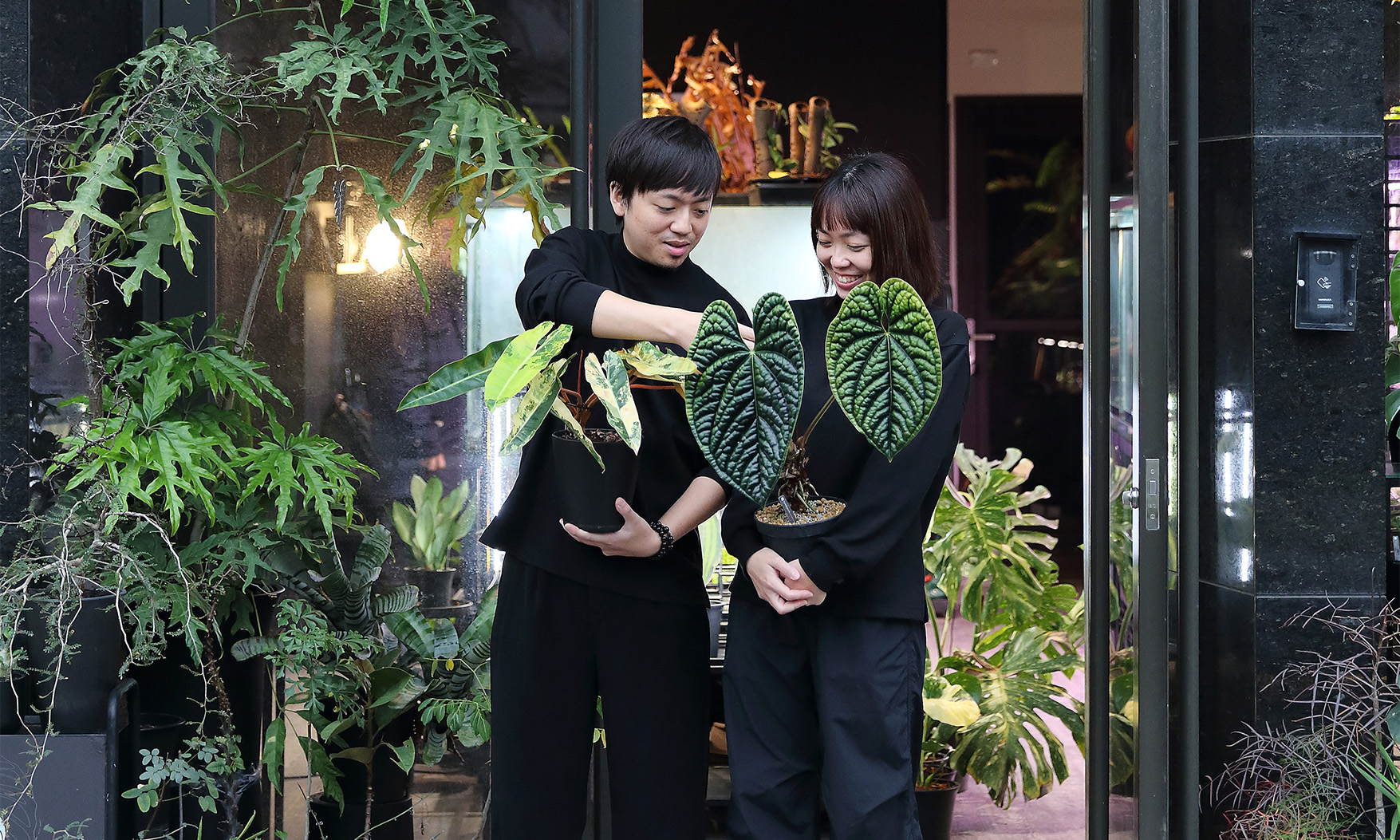小鎮裡的質感植物店，高雄橋頭「共生制所」打破傳統植栽印象，掀起療癒綠意新風尚