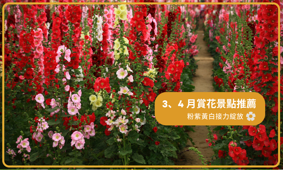 春季賞花好拍與必去景點攻略