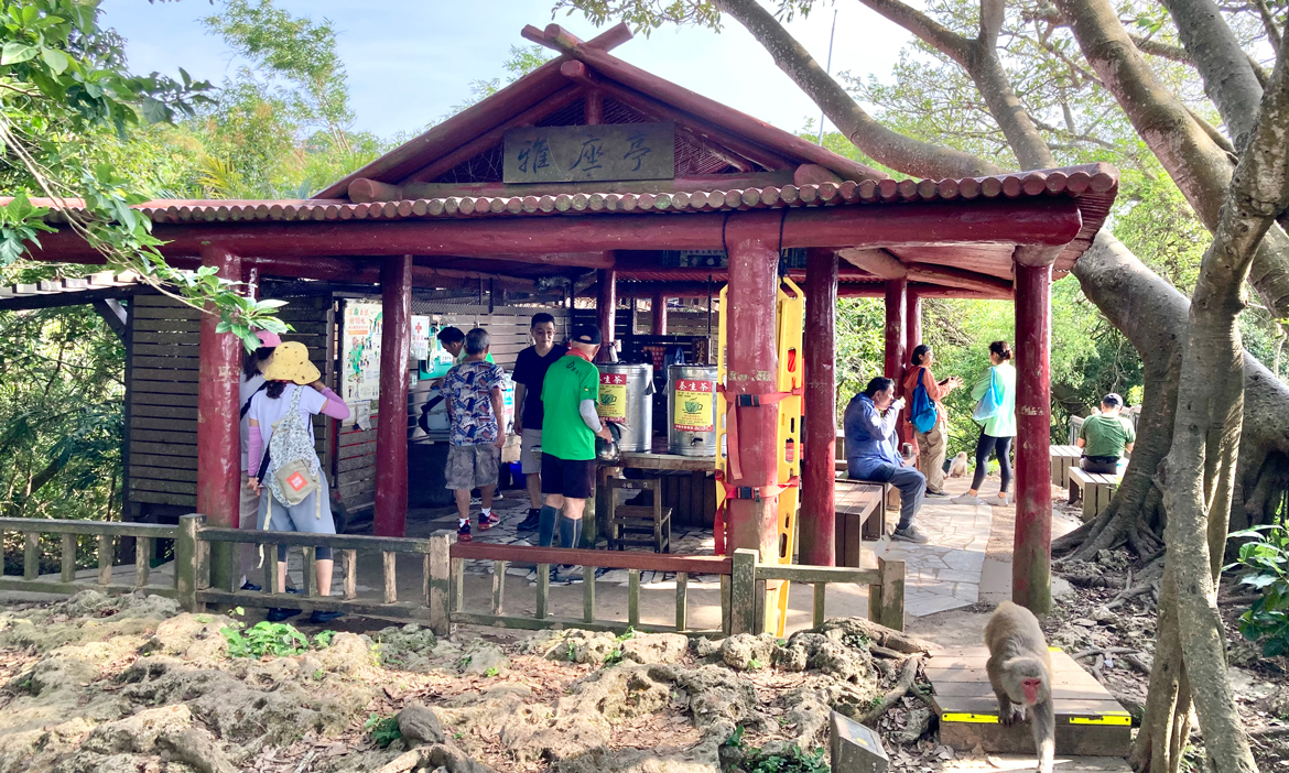 多重體驗高雄人的前花園 柴山，奉茶文化、軍事遺跡、地質與自然生態奇景