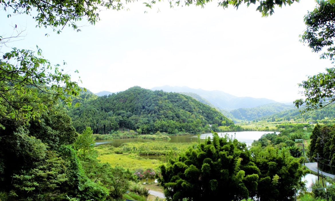 宜蘭員山遊｜搭葛瑪蘭客運753號訪雙連埤，一次蒐羅市區、員山美食美景與在地溫暖人情
