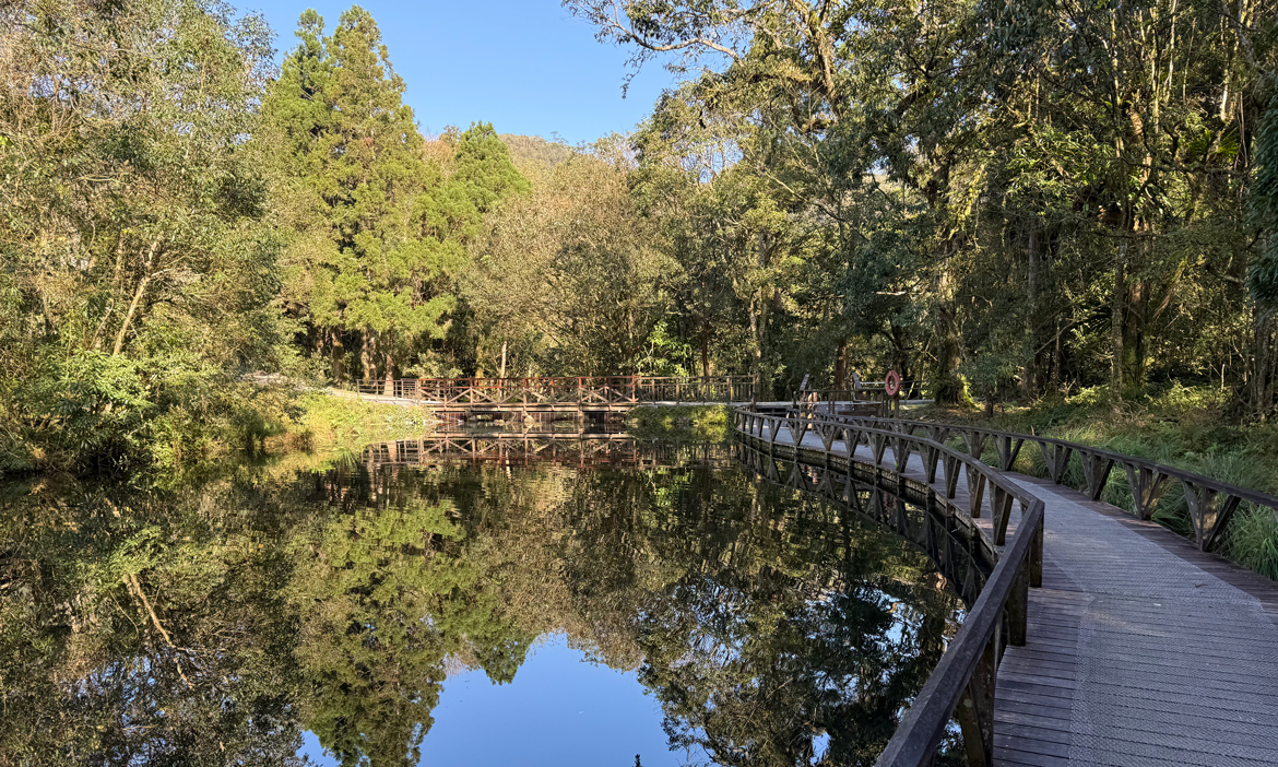 宜蘭員山遊｜走進生態方舟「福山植物園」，在夢幻霧林中遇見國寶藍腹鷴與原生種植物