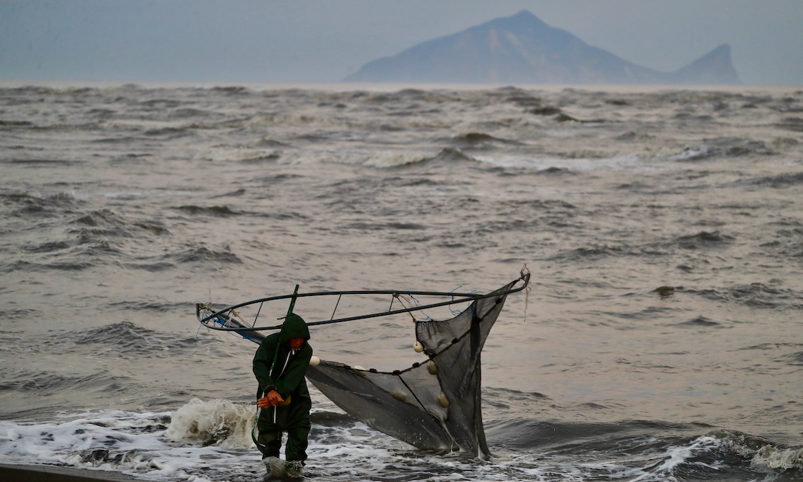 身價如股價，搏浪捕撈世界上最神祕的鰻魚，探究海中「白金」的永續難題