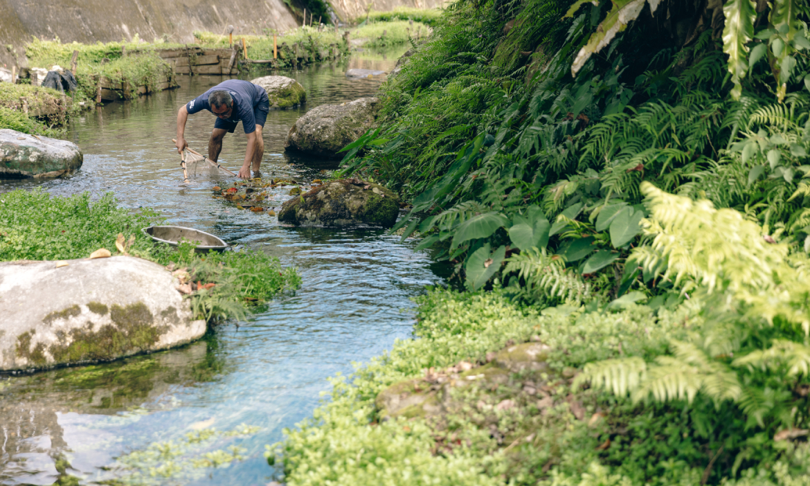 從河的視角出發，回望台灣生活地景、河川治理與水文化，探尋與流域共生的永續之道