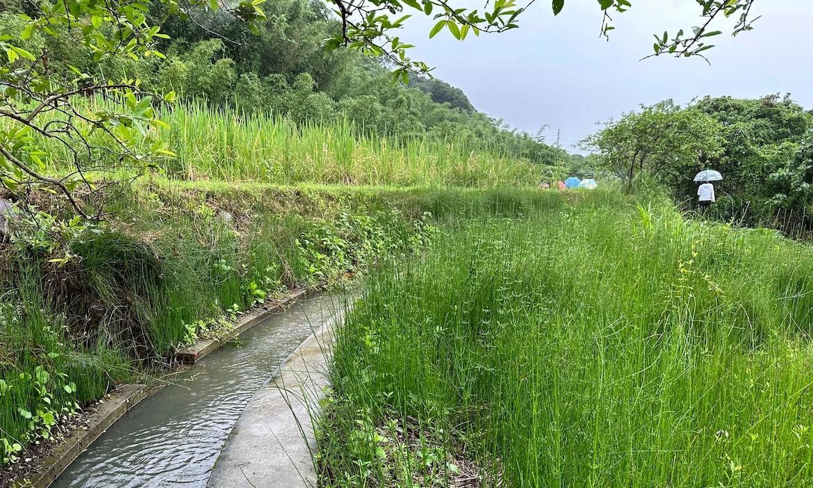 走一趟新北淡水被遺忘的水絲路，循水圳探源雙峻頭水源地，解鎖河港塵封的印記