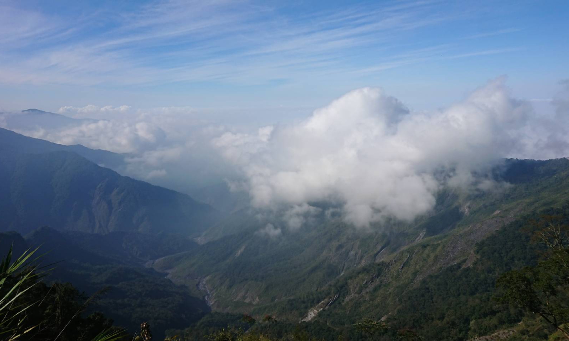 遇見屏東北大武山的山中精靈——陸蟹，絢麗繽紛的小小身影，絕美又脆弱的生態命運