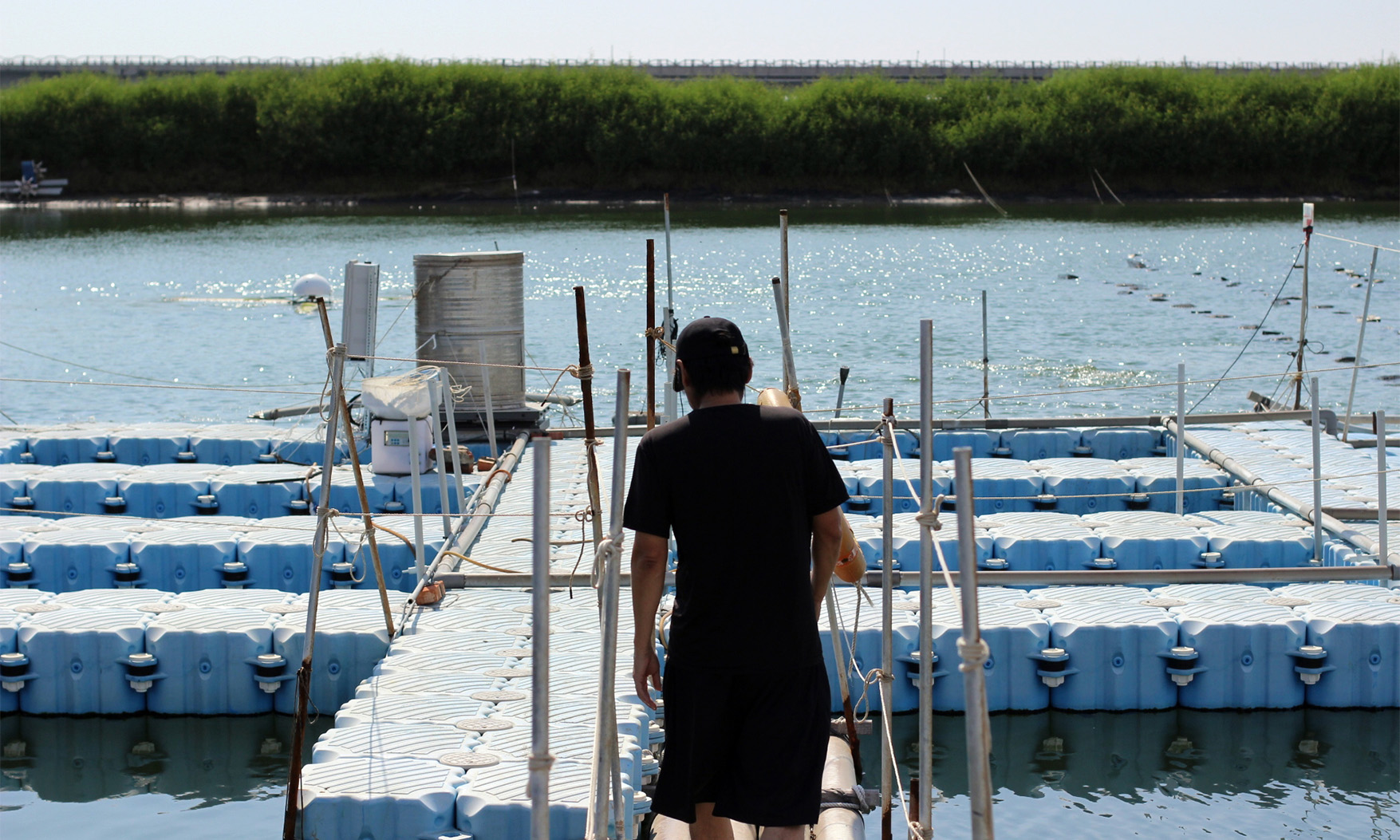 島嶼上的魚寶｜直奔台南北門「田媽媽長盈海味屋」魚塭現場，親嚐必比登都青睞的虱目魚料理