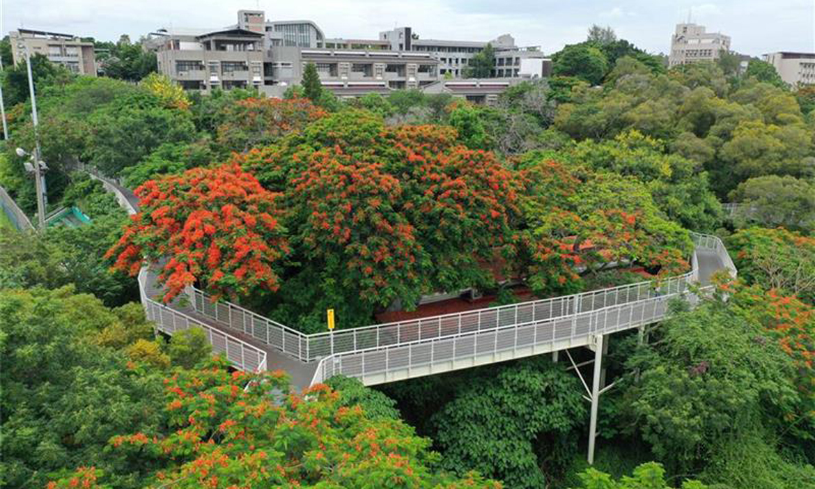 彰化初夏賞花景點順遊指南｜五、六月追金針花、茉莉花、藍花楹、油桐花，赴一場花漾盛宴