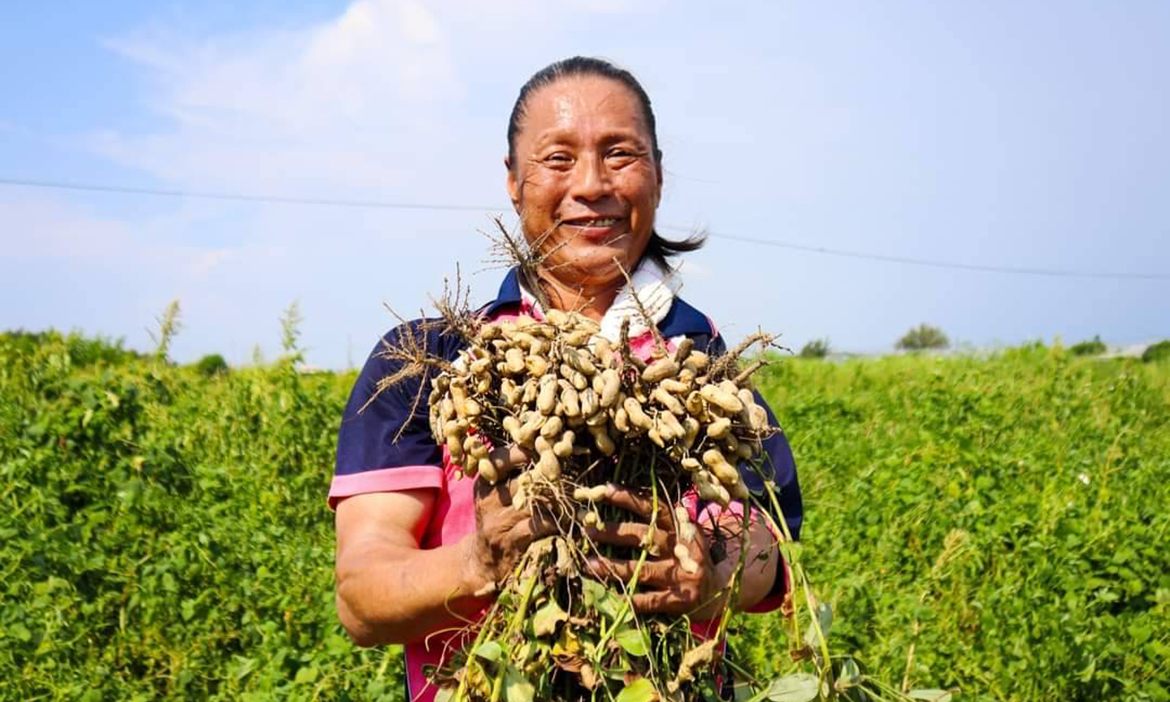 鹹土地的祝福，雲林口湖「清茂農場」逆風無懼，曬出蒜頭、花生好味道