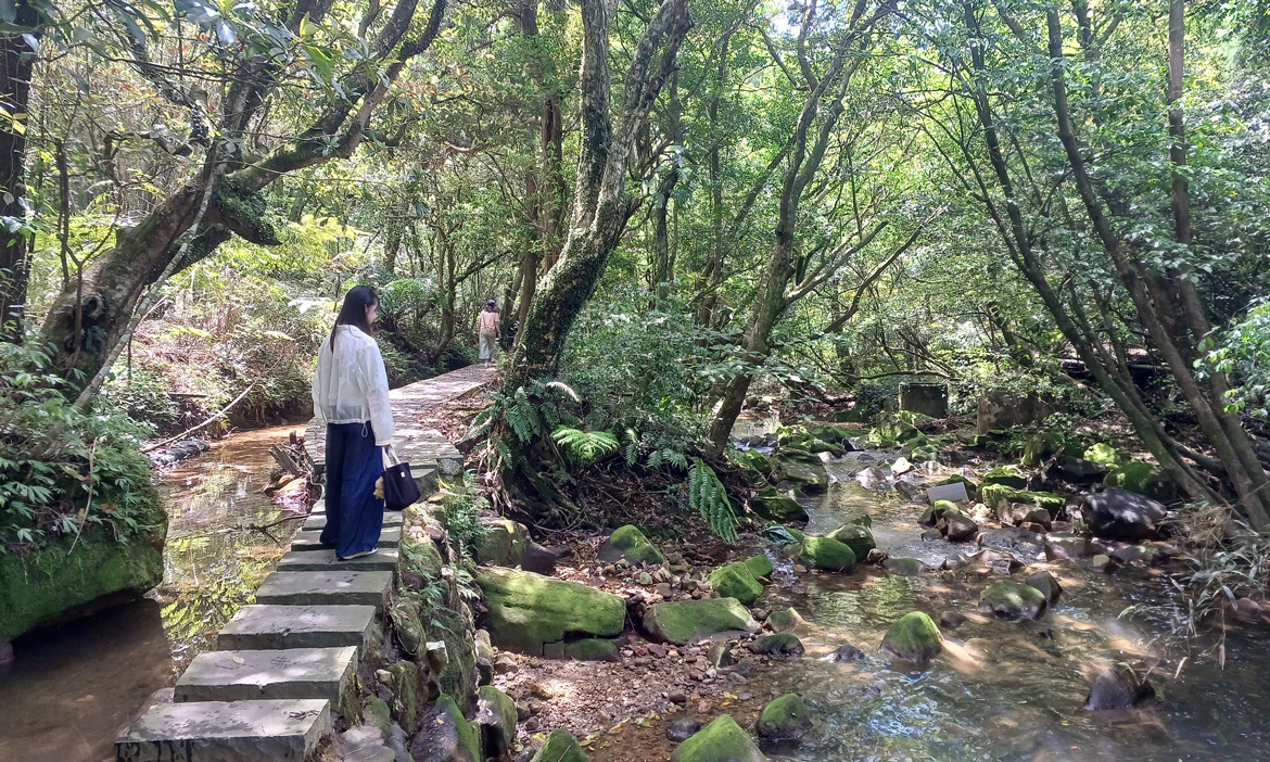 台北北投賞花景點｜湖田繡球花盛開中！順遊水圳步道、後山聚落，感受花海與田園交織的風情