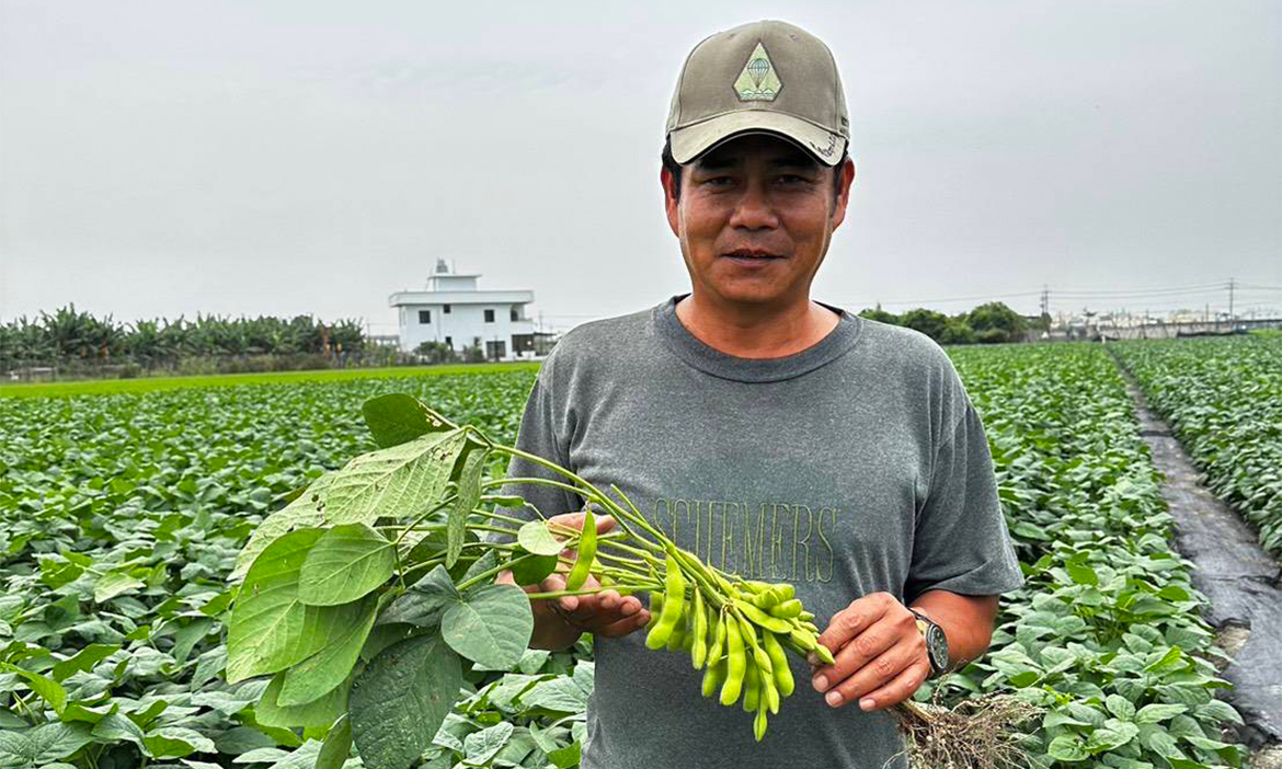 屏東新園毛豆田種出人情味 堅持自然農法、串起青銀世代，找回老社區生命力
