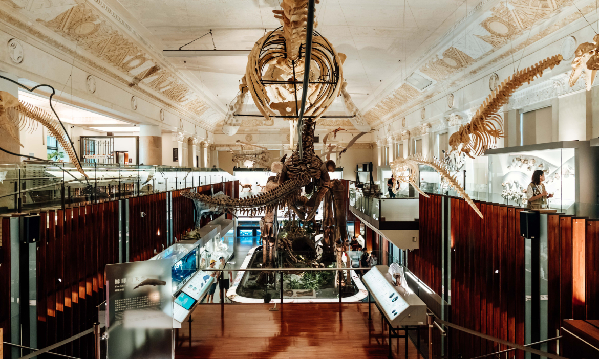 回望台灣博物館的發展與時代意義，來場有料的博物館旅行，探索過去也回應當代議題