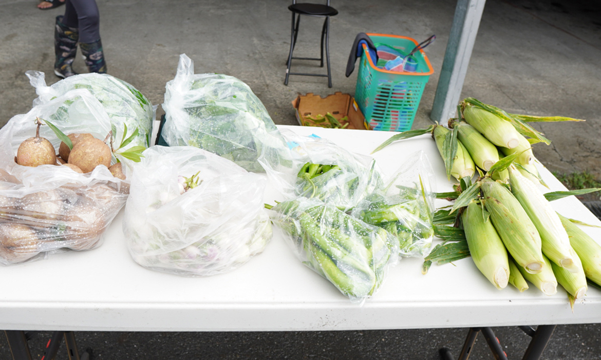 買菜人的風土巡禮，走逛太保後潭菜市場、六腳蒜頭公有市場，滿滿嘉義鄉間的人情味